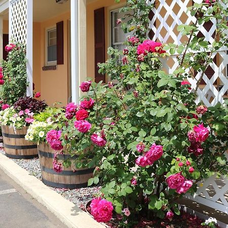The Bay Willows Inn 米德尔敦 外观 照片
